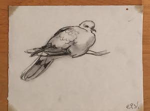 Engelien Reitsma-Valenca - Acht tekeningen van dieren in potlood of zwart krijt kopen? Bied vanaf 50!