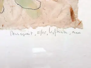 Marijke Vijfhuizen - set van 3x monotype - INGELIJST - 25678 kopen? Bied vanaf 75!