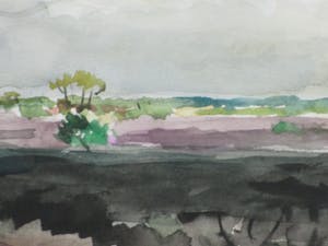 Han Krug - Verbrande heide Hilversum - Aquarel kopen? Bied vanaf 30!