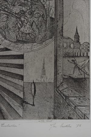 Jan Vaatstra - Ets - " Wrong Evolution " kopen? Bied vanaf 40!