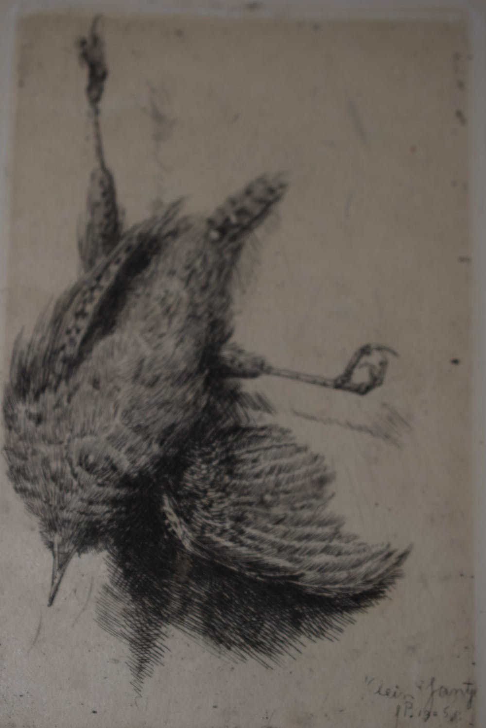 Charles Boom (1858-1939)