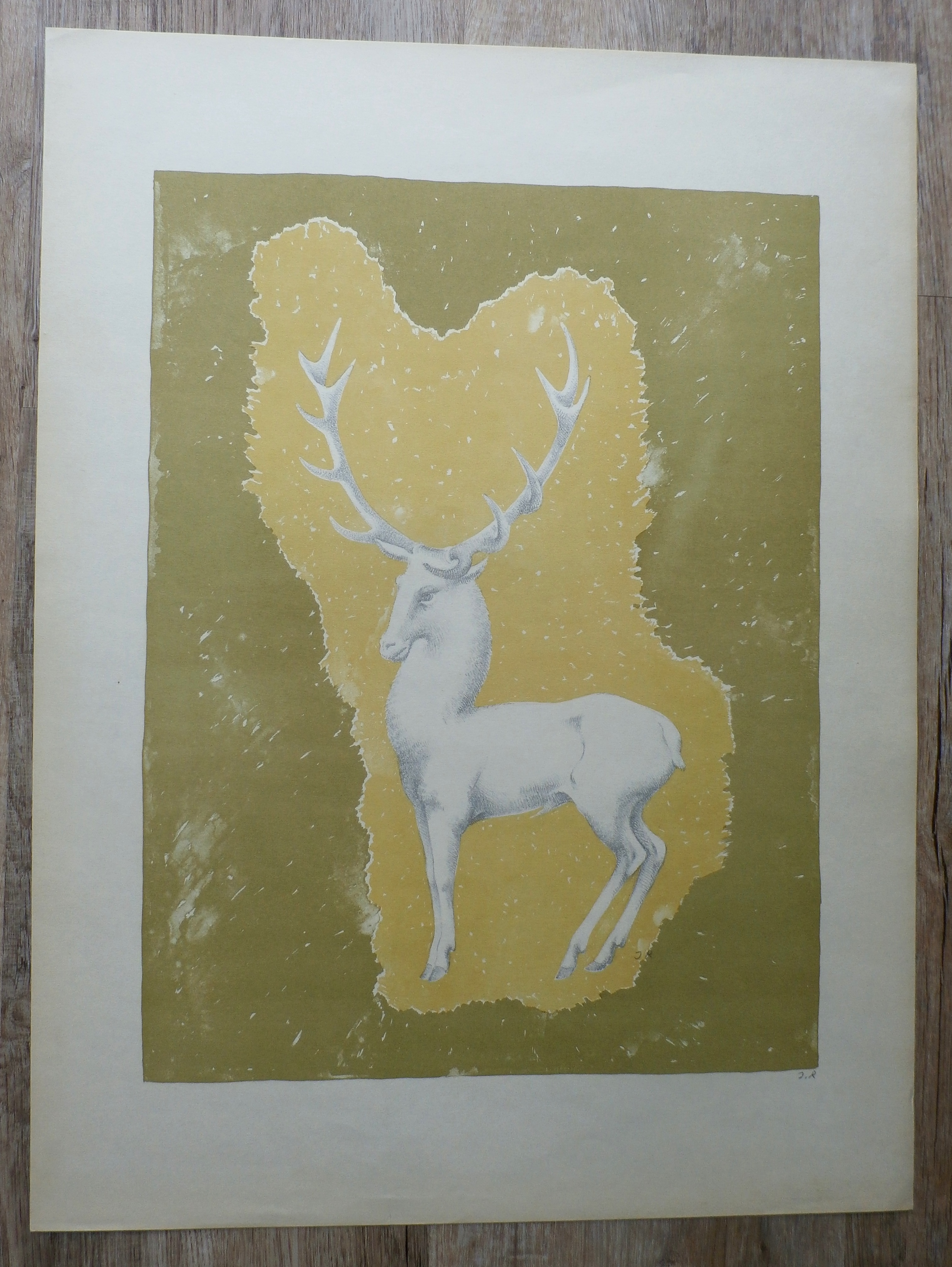 John Raedecker - Kleurenlitho: Hert kopen? Bied vanaf 40!