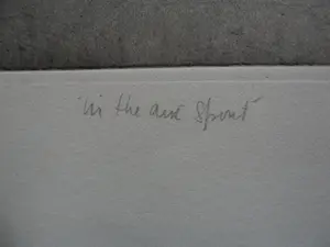 Anneke van der Mandele - In the air spirit, aquatint ets kopen? Bied vanaf 30!