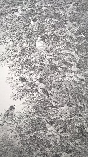 Peter Vos - Verte - gesigneerde litho kopen? Bied vanaf 250!