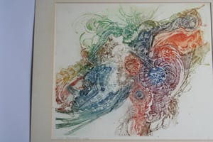 Jan Michielsen - kleurenets - oplage 1/1 - gesigneerd kopen? Bied vanaf 1!