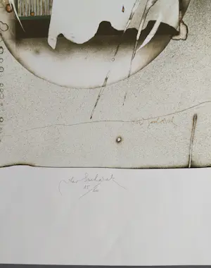 Vladimir Suchanek - gesigneerde litho kopen? Bied vanaf 79!