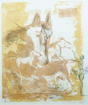 Rien Bakker - Ets en aquatint, Z.T. Paarden en ballerina - Ingelijst kopen? Bied vanaf 20!