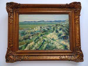 Martin van Waning - Duinen van Schiermonnikoog verkocht voor € 200!