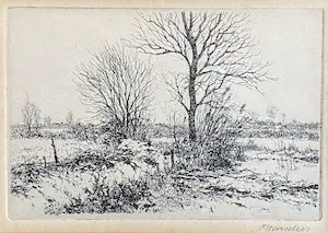 Frans Manders - Winterlandschap kopen? Bied vanaf 90!