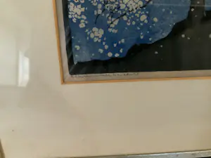 Arie Zonneveld - Bloesemboom kopen? Bied vanaf 50!