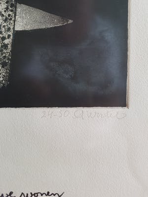 Ans Wortel - het vlezen huis waarin we wonen kopen? Bied vanaf 45!