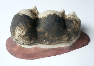 Sjer Jacobs - Triumviraat, keramiek kopen? Bied vanaf 1!