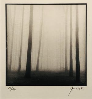 Ralph Janowski - zonder titel met lijst! kopen? Bied vanaf 115!