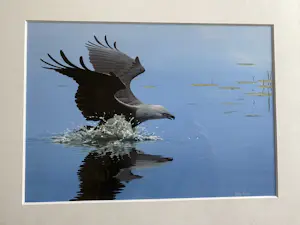 CHRIS ROSE - De adelaar kopen? Bied vanaf 200!