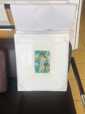 Annemarie de Groot - Naakt in de tuin I met lijst! kopen? Bied vanaf 50!