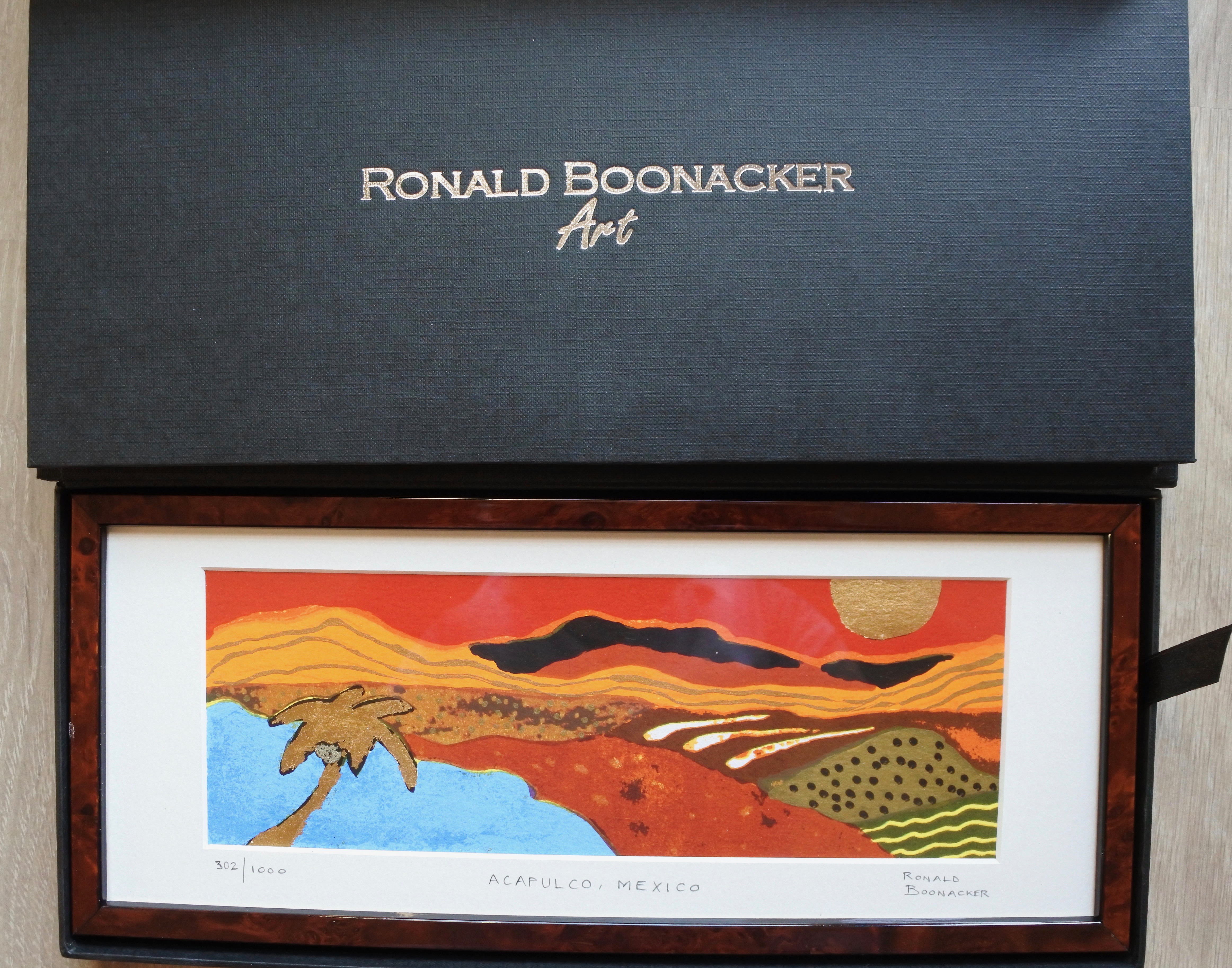 Ronald Boonacker - Acapulco, Mexico verkocht voor € 35!