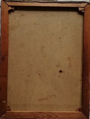 Willy Fleur - Ridderspoor kopen? Bied vanaf 225!