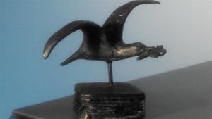 Bernadette Leijdekkers - Vogel als geluksbrenger kopen? Bied vanaf 34!