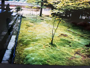 JCJ VANDERHEYDEN - Zonder titel kopen? Bied vanaf 125!