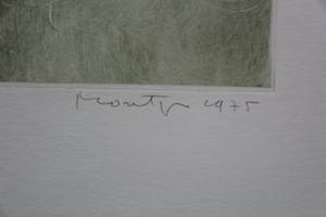 Jan Montyn - ets/aquatint - 1975 kopen? Bied vanaf 99!