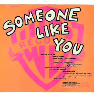 Sylvester - - “Someone like you” - 7" vinyl verkauft für € 1!