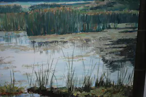 Simon Stolp - Het Naardermeer - groot olieverfschilderij - mooi ingelijst kopen? Bied vanaf 150!