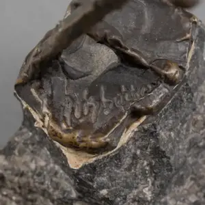 Jits Bakker - Bronzen beeld: Brandweerman op ladder - 1993 kopen? Bied vanaf 995!