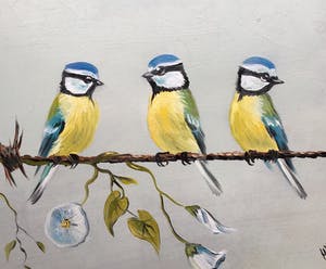 Henk Poeder - Pimpelmeesjes kopen? Bied vanaf 119!