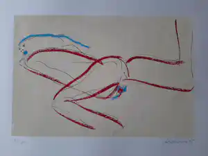 Peter Diem - Kleurenzeefdruk ABSTRAKT NAAKT verkocht voor € 40!