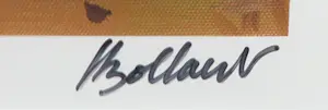 Jan Bollaert - Lambdaprint, Caution Art - Ingelijst kopen? Bied vanaf 1!
