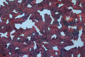 Ad van Riel - Zonder titel (16/1) kopen? Bied vanaf 125!