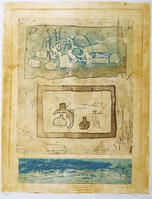 Jan Montyn - Kleurenets, Les jardins sauvages kopen? Bied vanaf 1!