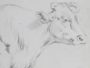 Frans Lebret - Drie studies van een rund - Tekeningen kopen? Bied vanaf 75!
