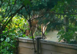 Robert Barry - 10 items uit de serie point d'ironie kopen? Bied vanaf 1!