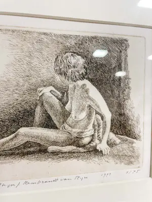 AcheterHan van Hagen - ... van Rhijn/Rembrandt van Rhijn? Enchérissez de 50!