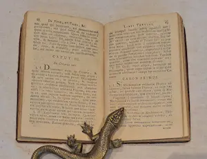 Antiquarisch Boek - INSTITUTIONES LOGICÆ IN USUM TIRONUM SCRIPTÆ Door Antonio Genuensi kopen? Bied vanaf 45!