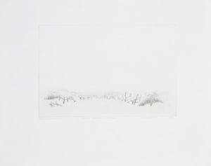 Jan van Winkel - Ets, Tweede duinets Vlieland kopen? Bied vanaf 1!