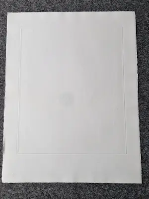 Ronald Tolman - grote kleuren Ets & Aquatint "IKANOS II" - Gelderse grafiekmap '92 kopen? Bied vanaf 58!