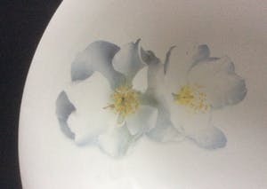 Marcel Wanders - SCHAAL ‘PASSION’ kopen? Bied vanaf 22!