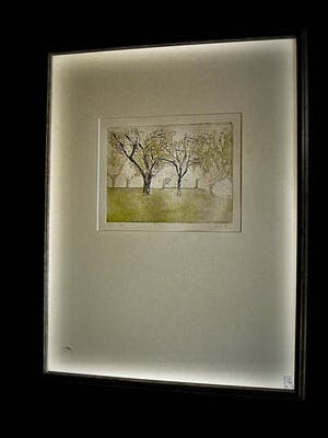 Niet of onleesbaar gesigneerd - In zeer kleine oplage vervaardigde Droge Naald Ets "Vlier" gesigneerd kopen? Bied vanaf 10!