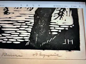Johan Haak - Bijzondere houtsnede van Johan Haak op papier "zeilschip in landschap" kopen? Bied vanaf 45!
