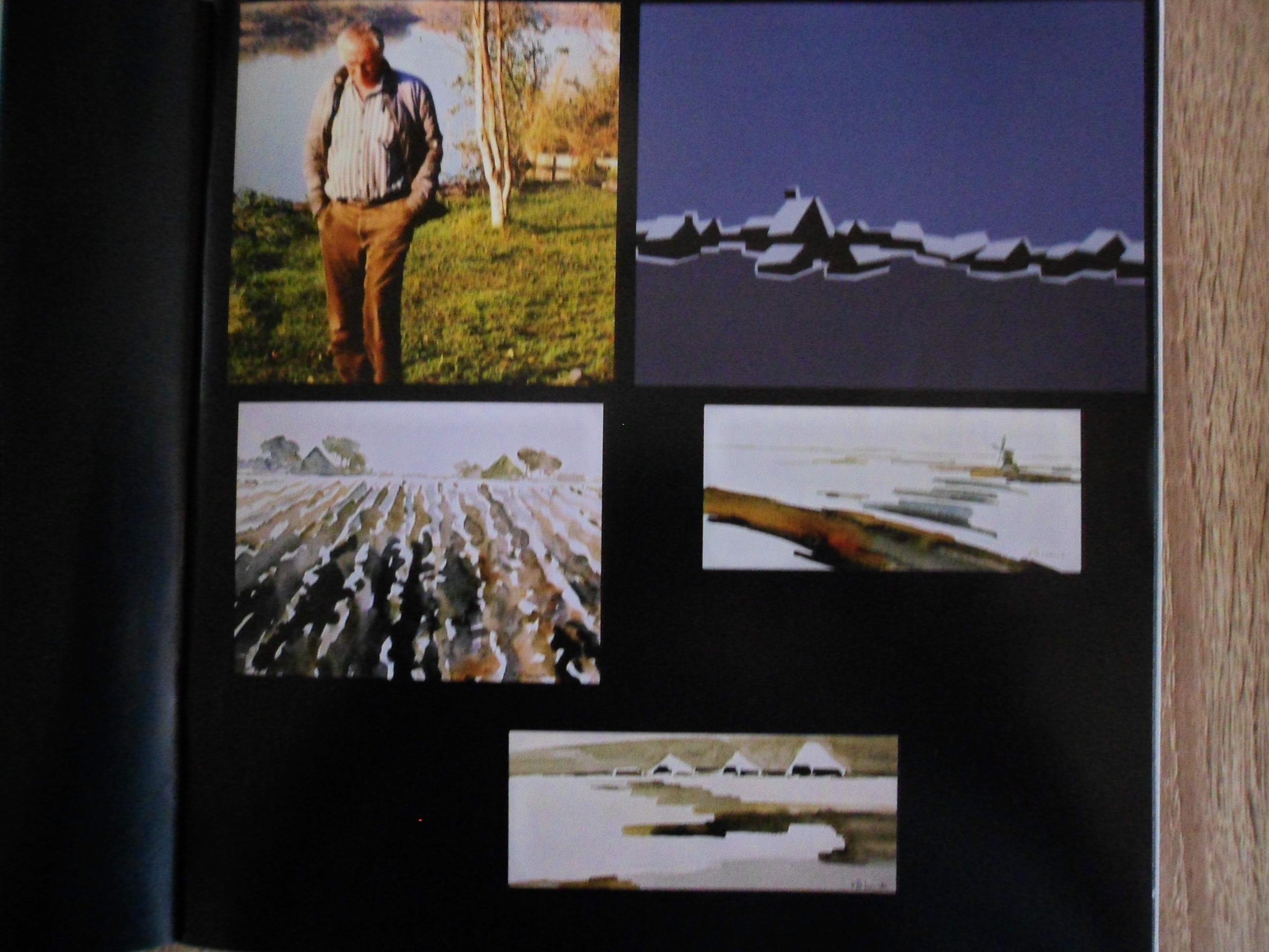 Bob Immink - Zeefdruk, Titel Varkensland bij watergang kopen? Bied vanaf 40!