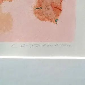 Henk van Vessem - zeefdruk - De Avond A.P. - ingelijst - 25608 kopen? Bied vanaf 90!