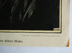 Albert Hahn - Johan Braakensiek litho & 1x door Louis Raemakers & 2 boeken Hahn/Sluijters ! kopen? Bied vanaf 75!