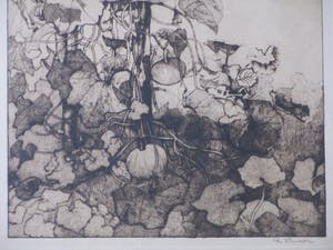 Reinier Willem Kennedy - Kalebasplanten - Ets kopen? Bied vanaf 30!