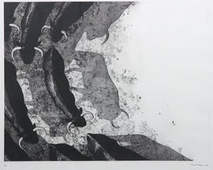 Rene Polak - Ets en aquatint, Kudde stieren I - Ingelijst kopen? Bied vanaf 1!