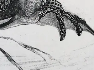 Theo van Hoytema - Leguaan, zittend op een steen in het water kopen? Bied vanaf 40!