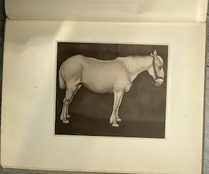 Jan Mankes - Oeuvre Boek uit 1927 kopen? Bied vanaf 850!