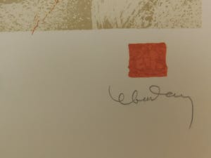 Dang Lebadang - Les Zèbres 1 kopen? Bied vanaf 15!