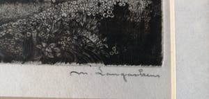 Maurice Langaskens - La terre kopen? Bied vanaf 40!